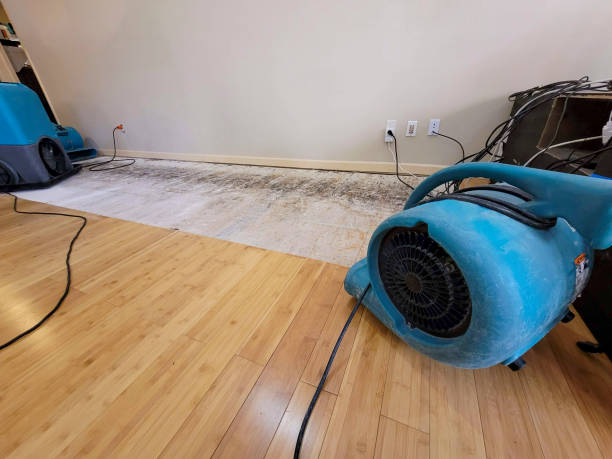 Professional Basement Flood Cleanup technician working in Dunlap, IA